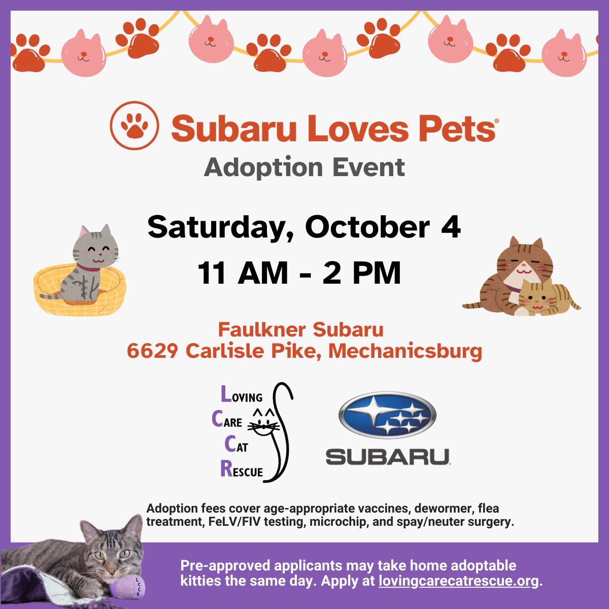 Fresh Look at Subaru Loves Pets Adoption Event